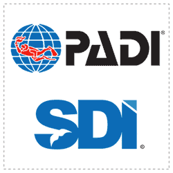 PADI SDI