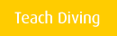 Teach Diving