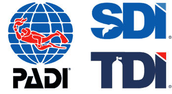 SDI TDI PADI